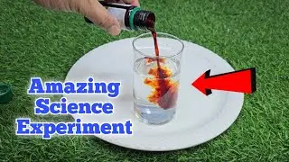Easy Science Experiments | Experiments You Can Do at Home | Science Experiments with water #science