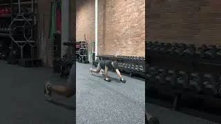Dumbbell Reverse Bear Crawl