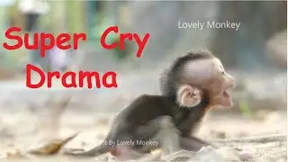 Baby Rex Being Drama Cry Angry Mom Without Reason Just Only One Second Leave From Him To Stand Up.