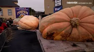 Farmweek | HALF MOON BAY: Pumpkin Festival | November 20, 2025
