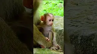 Newborn Luno ...!