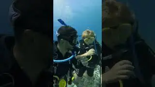 Diving with professionals 🌊 #scubadiving #aqaba #aqaba_jordan
