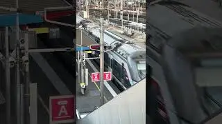 TER Nomad | Passage d'une UM de Regio2n (Z56600 & Z56800) &agrave; Mantes la Jolie