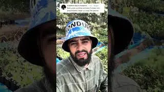 Sembraremos 1 mill&oacute;n de &aacute;rboles