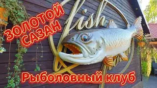 ЗОЛОТОЙ САЗАН/Рыбалка/Хорошо проводим время