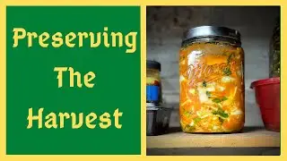 Homemade Kimchi - Store All Winter Without Refrigeration
