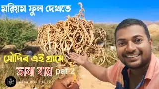 সৌদি এই গ্রামে মরিয়ম ফুল ভাবা যায় | new video 2024 | সৌদি আরব নিয়ম সিটি | Gaffar Miah Official