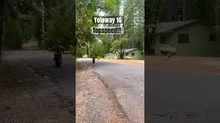 Yoloway 16 TOP SPEED !!! #ebike#ElectricBike ##TopSpeed #YouTubeShort