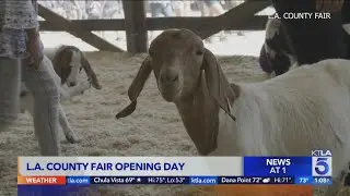 The L.A. County Fair is back!