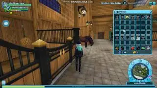Buying my dream horse the Connamara/ Star Stable Online