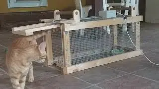 Remote controlled animal trap