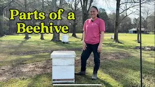 Parts of a Beehive (Langstroth Beehive)