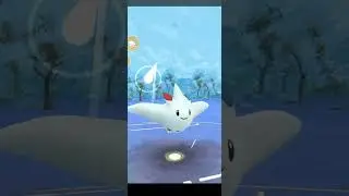 POKEMON GO BATTLE LEAGUE #320