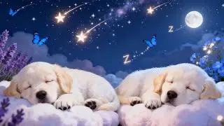 Relaxing Piano Melodies 🎹 | Calm Background Music