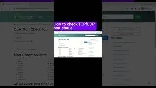 How to check TCP/UDP port status?