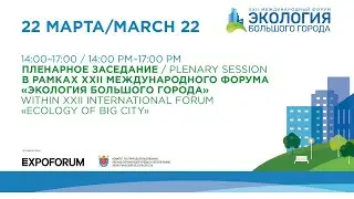 22.03.2023 D2 ENG Экология Большого Города