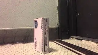 Reed Lizard: Delivered Right to your Door