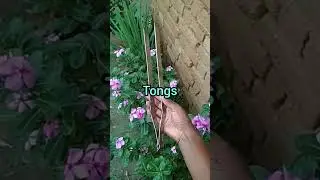 Tawa,Chakla,Belan and  Chimta in English #shorts #ytshorts #youtubeshorts @ronikarani9832