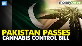 Pakistan Passes Cannabis Control and Regulatory Authority Bill | Dawn News English