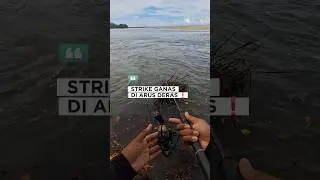 strike ganas di arus deras 🤌 #outdoors #adventure #xybzca #mancing #casting #fypシ #viral #shortvideo