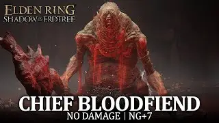 Chief Bloodfiend Boss Fight (No Damage / NG+7) [Elden Ring DLC]