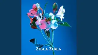 Zibla Zibla