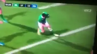 Shane Daly try