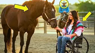 A Wheelchair Bound Woman Meets a Mysterious Horse&mdash;What Happens Next Will Leave You Speechless!