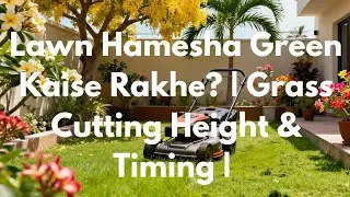 Lawn Hamesha Green Kaise Rakhe? | Grass Cutting Height & Timing | Easy Guide Hindi