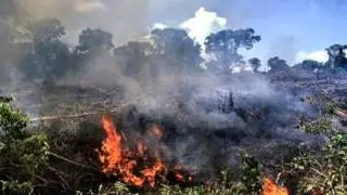 Will Beasley APES Music Video
