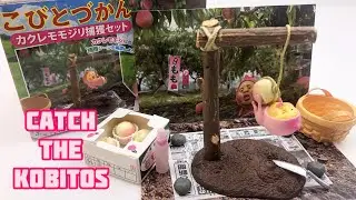 Use traps to catch The KOBITOS !! Cute KOBITOS Doll.