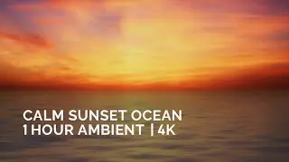 Calm Ocean at Sunset 🌅 Gentle Waves | 1 Hour 4K Ambient Background