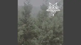 Metal Medallo