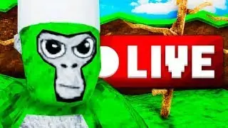 🔴yapping🔴Live With YOU🫵