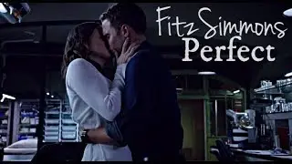 FitzSimmons | Perfect