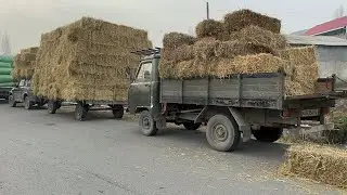 24.12.2025 QÕQON HASHAK BOZORI NARXLAR BILAN TANISHING 