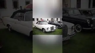 Mercedes Benz Oldtimer und Facherk Celle 2023