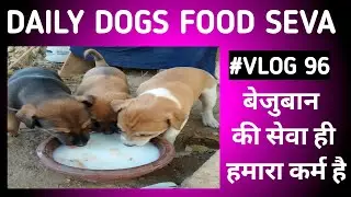 Daily Dogs Food Seva #Vlog 96/365 | Milk Bread Seva | Accident Dogs Rescue 24&times;7 #dailyvlog #huminty