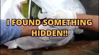DUMPSTER DIVING-I FOUND SOMETHING HIDDEN!! I'M TAKING IT BEFORE THEY GET IT, JACKPOT 