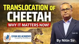 Cheetah Translocation in India | Project Cheetah Explained | By Nitin Sir | Gyan IAS
