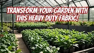 What's the BEST Ground Cover for Your Greenhouse?