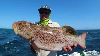 Adventure Cruising the Rowley Shoals aboard REEF PRINCE