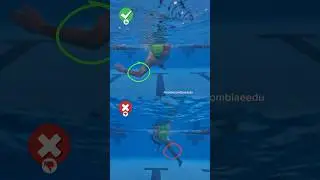 🎯 Backstroke Arm Technique Explained ⚡️.