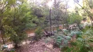 Newnes - Camp - Batt1