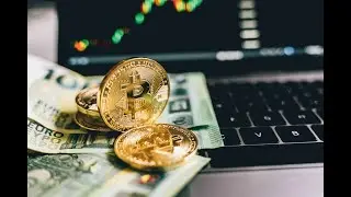 Blockchain Terminology: Key Cryptocurrency Terms You Need To Know. (Beginners Guild).