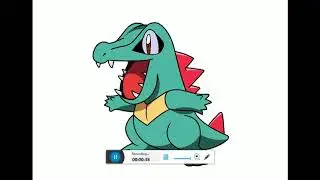 Pokemon - Ash's Johto Team