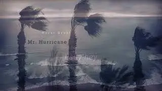 Mr hurricane - horst gr&uuml;hl