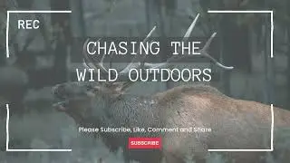 Montana elk rut photography adventure. Two days in the Montana wilderness.