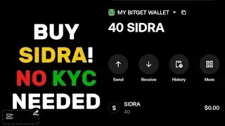 🔥 How to BUY & STORE SIDRA without any KYC needed