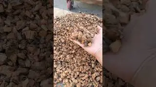 Coconut shell cutting machine